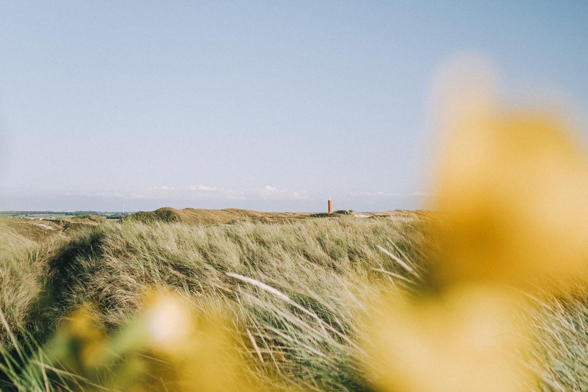 De Duintuin - In De Duinen, Groote Keeten Aan Zee Callantsoog Kültér fotó