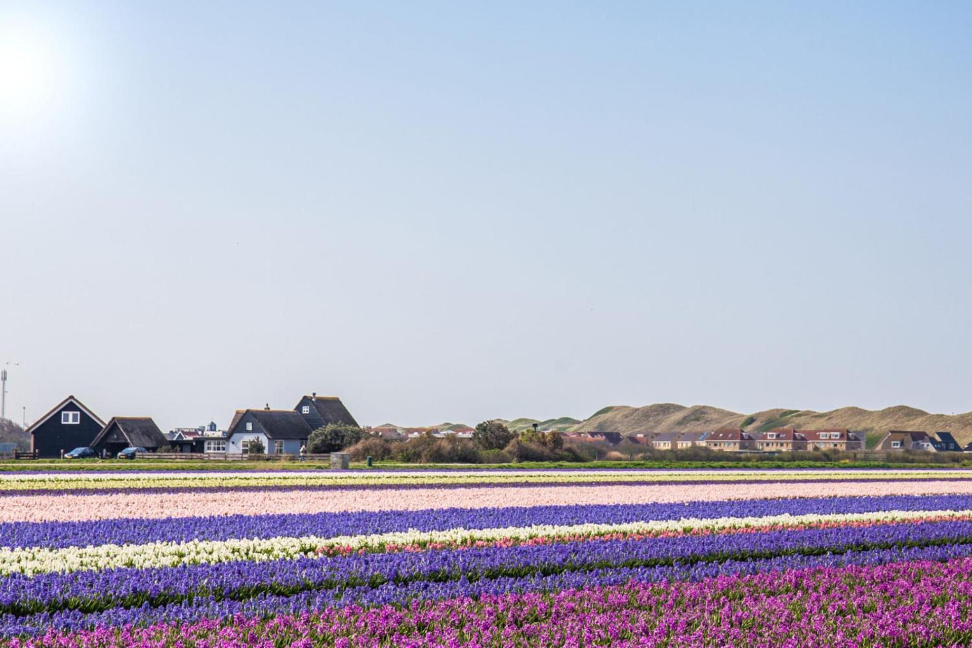De Duintuin - In De Duinen, Groote Keeten Aan Zee Callantsoog Kültér fotó